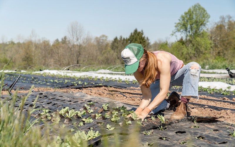 farmer working